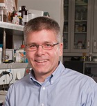 Department Chair / Charles Bessey Professor of Biological Chemistry Profile Image