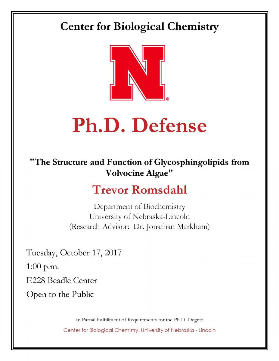 Trevor_Romsdahl-PhD_Flyer