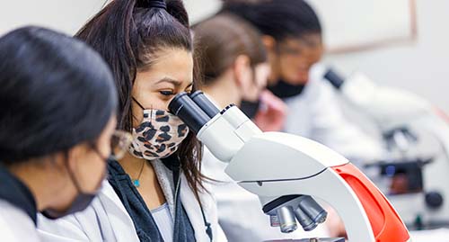 Lab workers look into a microscope.