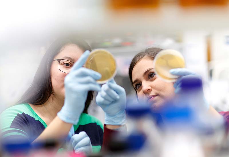 Student and mentor examine petri dishes in the lab