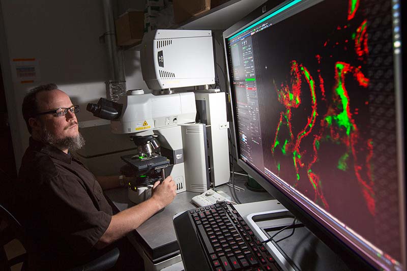 Researcher with microscope looking at data on a computer monitor.
