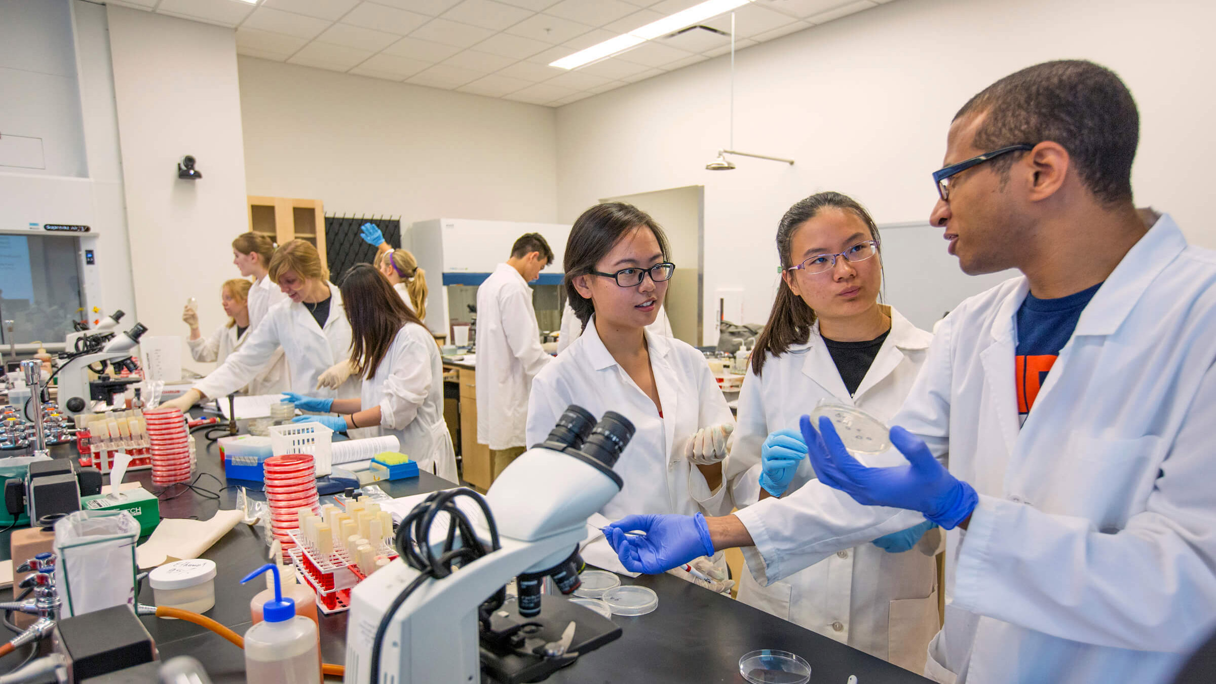 Students working in a lab