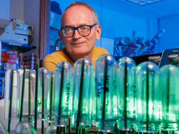 Professor with samples in lab