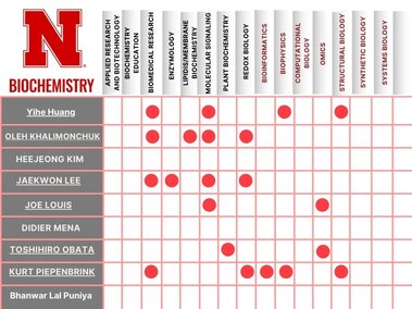 Stregnths in Research